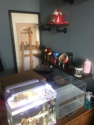 -椿树下·Tattoo纹身工作室