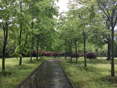 -东湖落雁景区