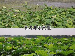 -重元寺