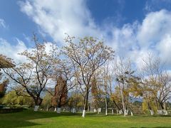 -云南滇池花园国际大酒店温泉