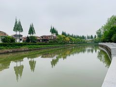-嘉定紫藤园