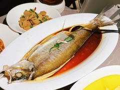 清蒸白水鱼-醉庐·新上海菜(南京西路店)
