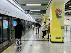 -杨柳河(地铁站)