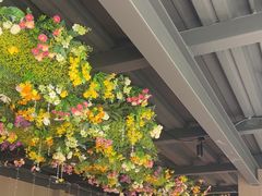 -食悦江南·淮扬菜·烤鸭(亚运村·惠新店)