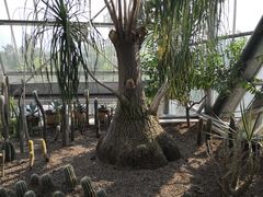 -南山植物园