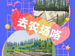 -前小桔亲子创意农场·草莓采摘·露营烧烤