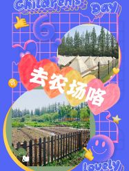 -前小桔亲子创意农场·草莓采摘·露营烧烤