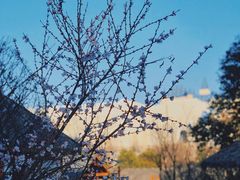 -郑州银基黄帝宫御温泉