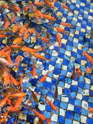 -酷嗒动物文化乐园(cutezoo西溪乐天城店)