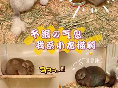 -龙猫仔乐园(惠福东路店)