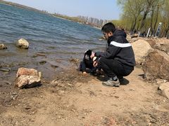 -丁香湖公园