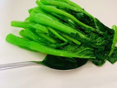 -食神鱼头佛跳墙(百子湾旗舰店)