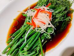 白灼瓜尖-初蓉丨遇见新川菜(亲贤街荣耀店)