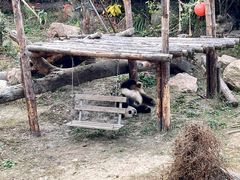 -宁波野生动物园