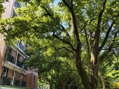 -浙江大学(玉泉校区)