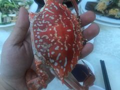 -霞海鸭仔饭店(海滨大道北店)