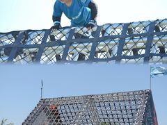 -春花秋色城市公园