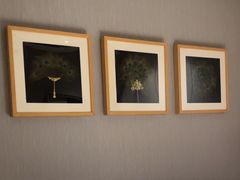 -徐记海鲜(曲江南湖店)