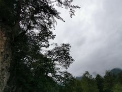 -黑河国家森林公园