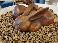 -巴厘岛黄金金兔咖啡工厂