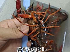 -石厦(地铁站)