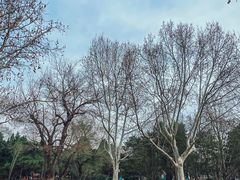 -北京动物园