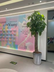 -联合丽格·张菡丽格医疗美容