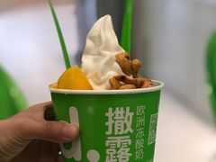 -Salud撒露欧洲冻酸奶(蓝色港湾店)
