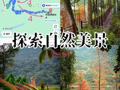 -广州市石门国家森林公园