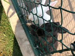 -上海滴水湖皇冠假日酒店