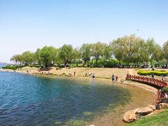 -丁香湖公园