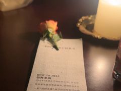 -ANOTHERLIFE 来生