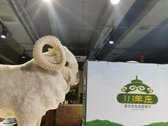 -九府羊鲜羊火锅·烧烤(海那城店)
