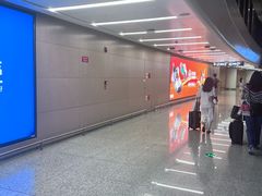 -青岛胶东国际机场
