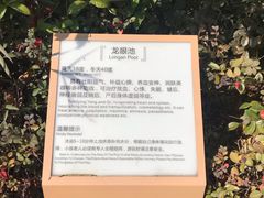 -凤翔首邑温泉度假村