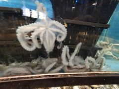 -渔公码头海货全海鲜自助(海滨旅游路店)