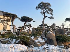 -罗红摄影艺术馆