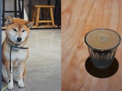 -不错NOTBAD咖啡馆