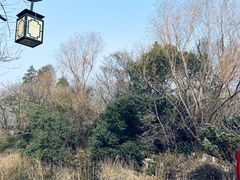 -白马涧龙池景区