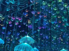 -星空失恋博物馆(北京路旗舰店)