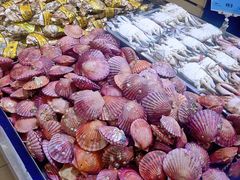 扇贝-新隆嘉优选超市(宁山东路店)