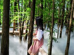 -东湖落雁景区