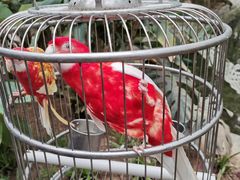 -南宫五洲植物乐园