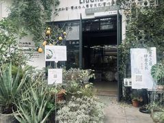 -六出私塾LiuChu•成人美术书法系统课程专业画室(熊婆婆的花园店)