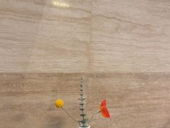 -金色印象·4K影院式足体养生(南滨印象店)