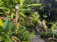 -植物园哈利亚餐厅