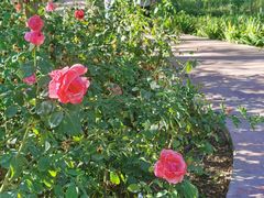 -石榴花开餐厅