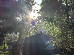 -大妙火锅·非物质文化遗产(东湖公园店)