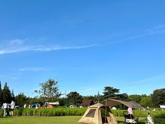 -上海滨江森林公园