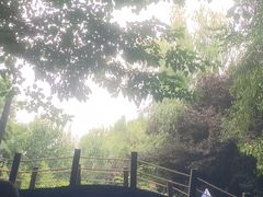 -奥帕拉拉水公园